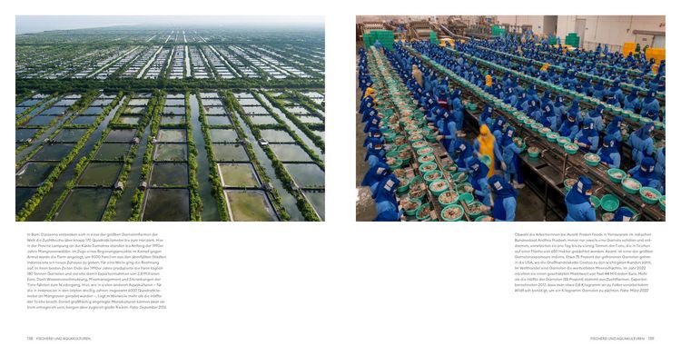 Produktbild: Feed the Planet