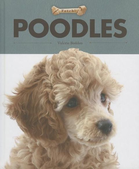 Produktbild: Poodles