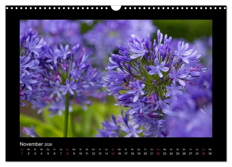 Produktbild: Azoren - S&atilde;o Miguel (Wandkalender 2026 DIN A3 quer), CALVENDO Monatskalender
