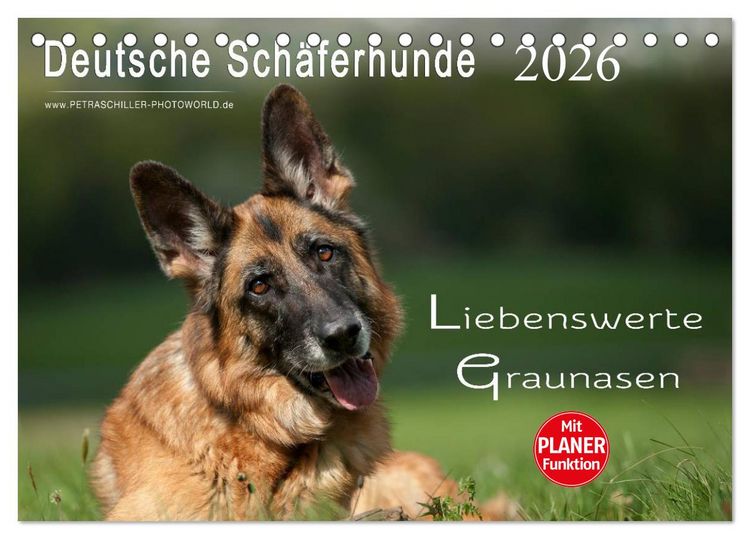 Produktbild: Deutsche Sch&auml;ferhunde - Liebenswerte Graunasen (Tischkalender 2026 DIN A5 quer), CALVENDO Monatskalender