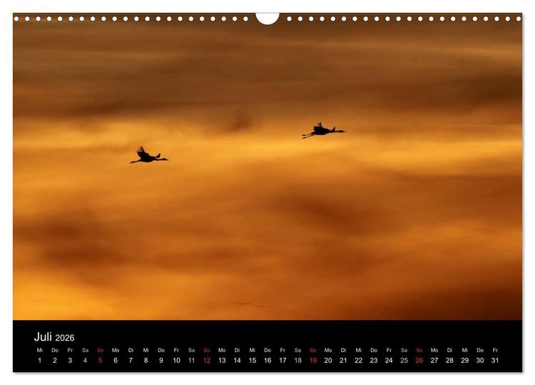 Produktbild: Kraniche (Wandkalender 2026 DIN A3 quer), CALVENDO Monatskalender