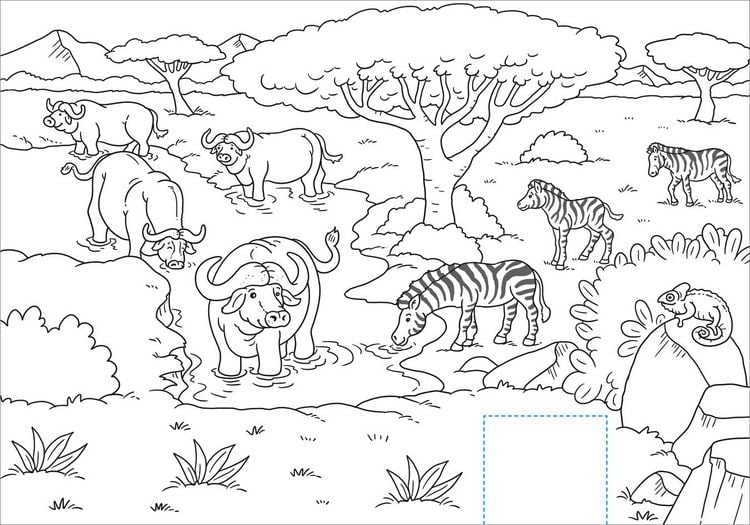 Produktbild: Schnipp Schnapp Malbuch. Wilde Tiere. Was steckt dahinter?