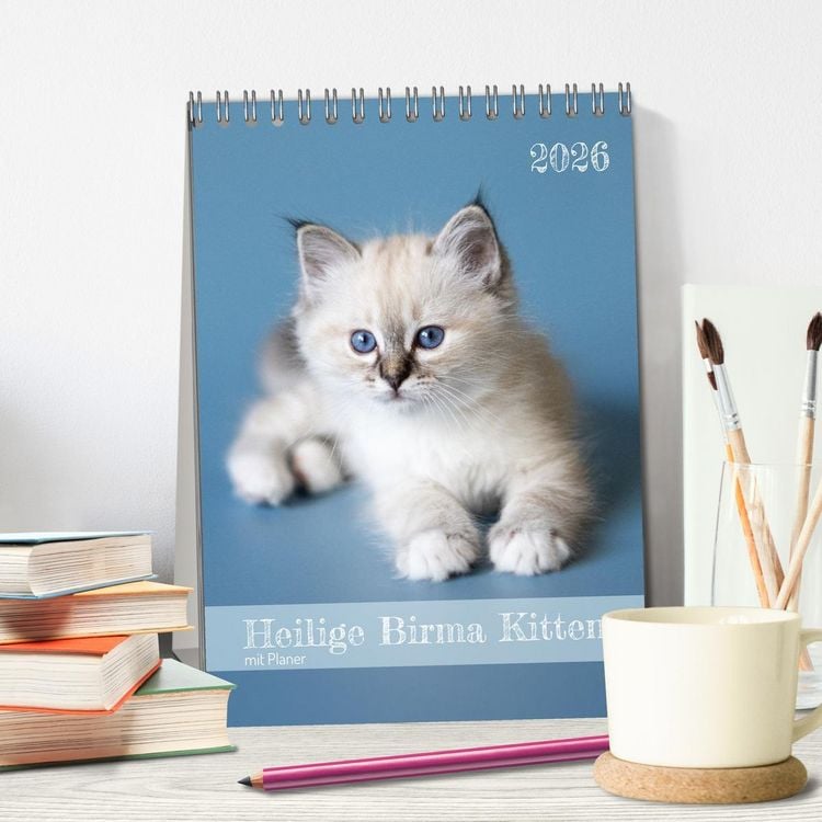 Produktbild: Heilige Birma Kitten Kalender mit Planer (Tischkalender 2026 DIN A5 hoch), CALVENDO Monatskalender