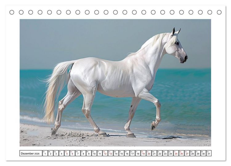 Produktbild: Bezaubernde Eleganz wei&szlig;er Pferde (Tischkalender 2026 DIN A5 quer), CALVENDO Monatskalender