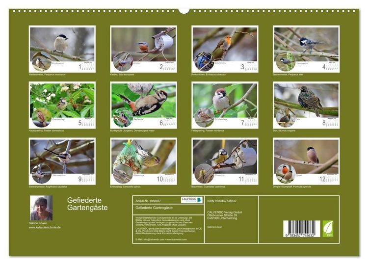 Produktbild: Gefiederte Garteng&auml;ste (hochwertiger Premium Wandkalender 2026 DIN A2 quer), Kunstdruck in Hochglanz