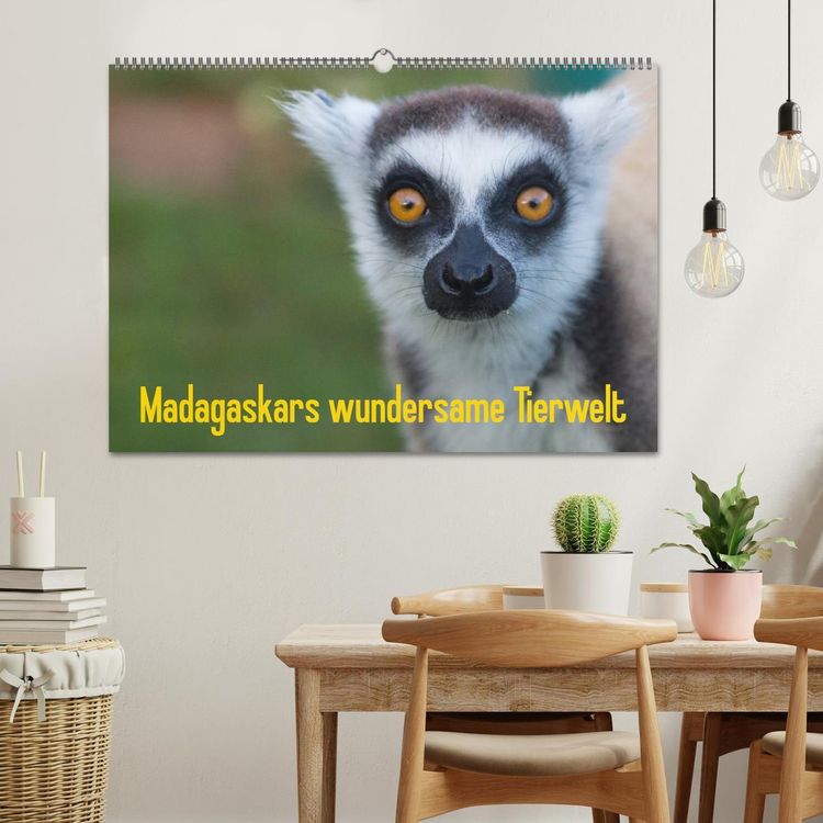 Produktbild: Madagaskars wundersame Tierwelt (Wandkalender 2026 DIN A2 quer), CALVENDO Monatskalender