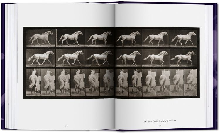 Produktbild: Muybridge. The Human and Animal Locomotion Photographs