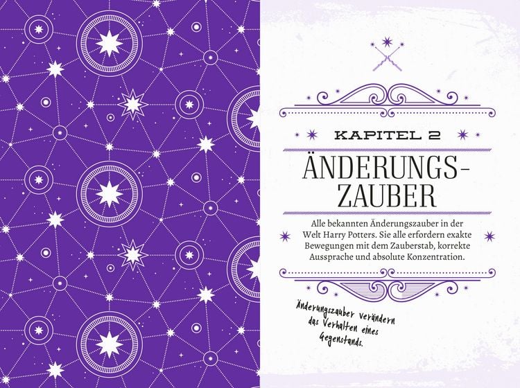 "Das inoffizielle HarryPotterBuch der Zaubersprüche und magischen Gegenstände" online kaufen