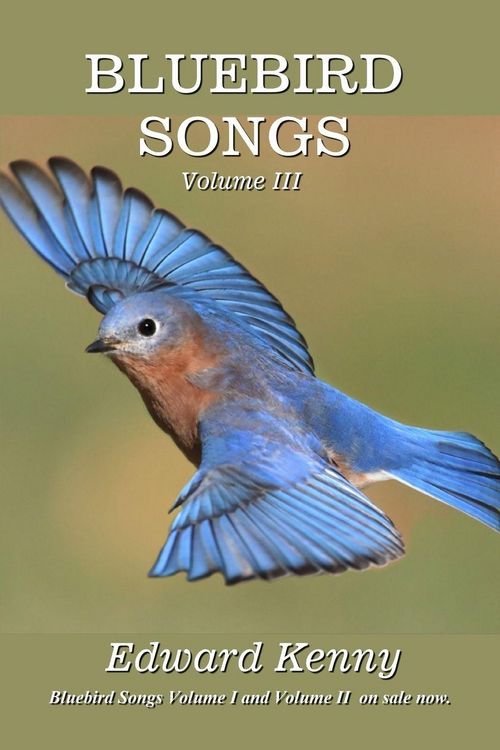Produktbild: Bluebird Songs (Volume III)