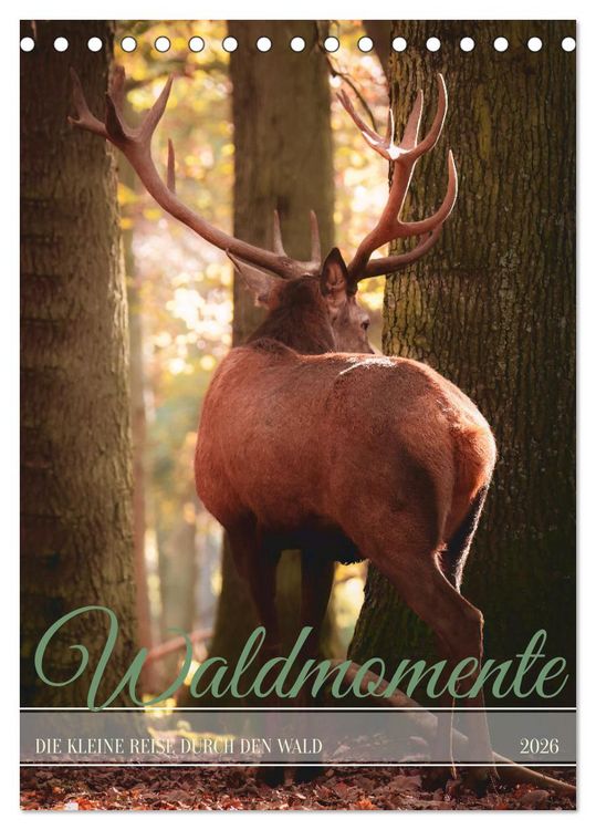 Produktbild: Waldmomente (Tischkalender 2026 DIN A5 hoch), CALVENDO Monatskalender