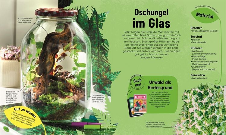Produktbild: Mein Mini-Garten im Glas