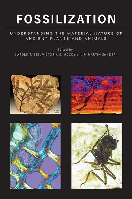 Produktbild: Fossilization