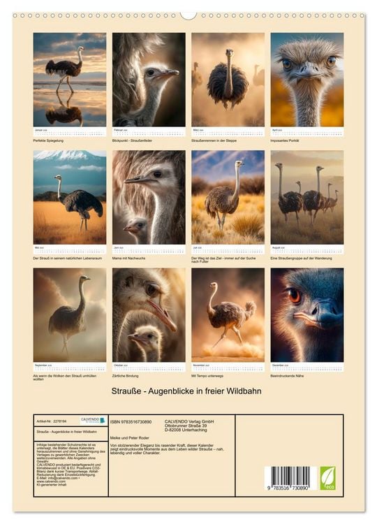 Produktbild: Strau&szlig;e - Augenblicke in freier Wildbahn (hochwertiger Premium Wandkalender 2026 DIN A2 hoch), Kunstdruck in Hochglanz