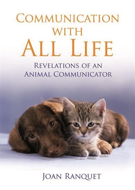 Produktbild: Communication with All Life