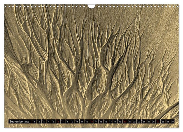 Produktbild: Sylt ist Meer (Wandkalender 2026 DIN A3 quer), CALVENDO Monatskalender