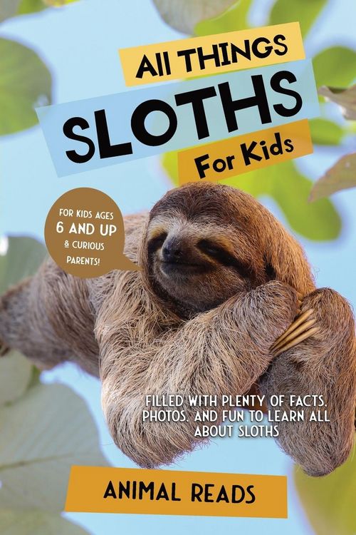 Produktbild: All Things Sloths For Kids