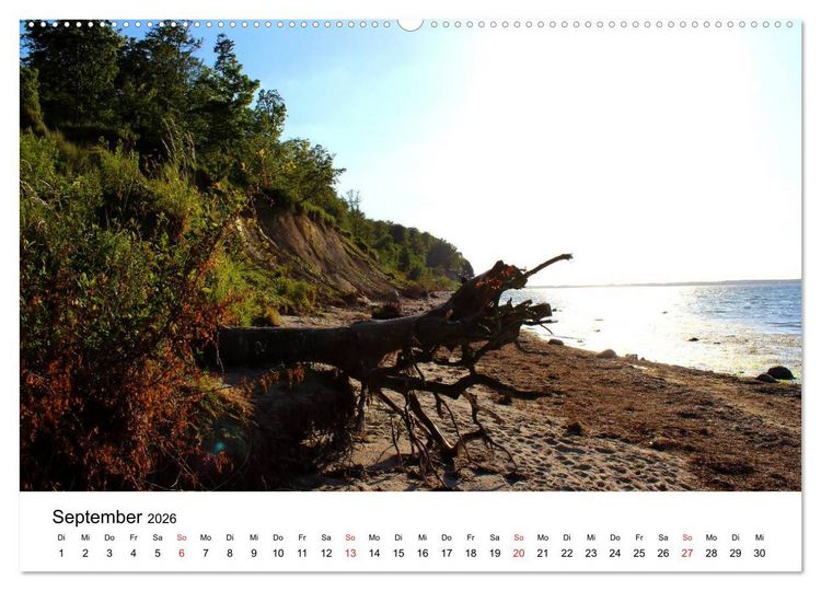 Produktbild: Ostseek&uuml;ste 2026 (Wandkalender 2026 DIN A2 quer), CALVENDO Monatskalender
