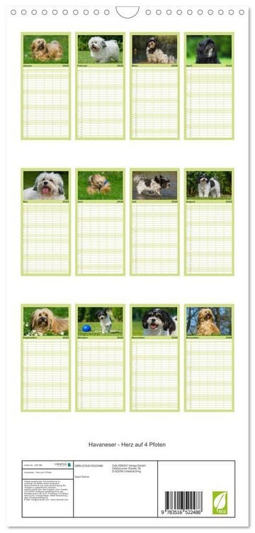 Produktbild: Familienplaner 2026 - Havaneser - Herz auf 4 Pfoten mit 5 Spalten (Wandkalender, 21 x 45 cm) CALVENDO