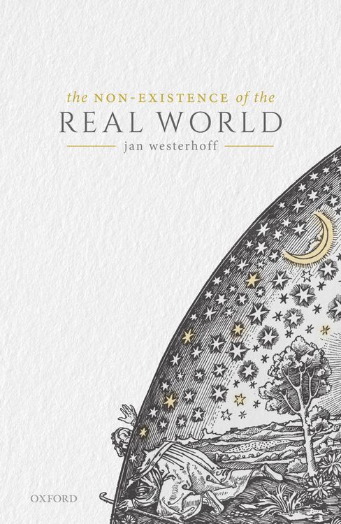 Produktbild: The Non-Existence of the Real World