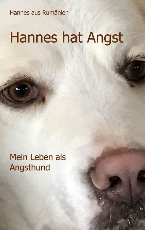 Produktbild: Hannes hat Angst