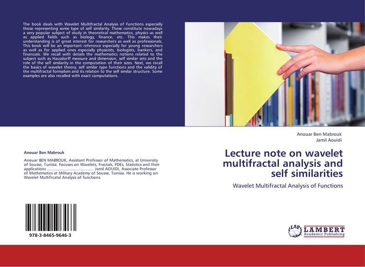 Produktbild: Lecture note on wavelet multifractal analysis and self similarities