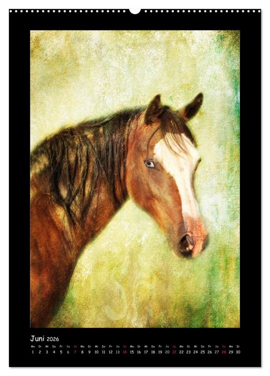 Produktbild: Art Horse 2026 (Wandkalender 2026 DIN A2 hoch), CALVENDO Monatskalender