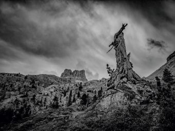 Produktbild: CALVENDO Puzzle Dolomiten - Verwitterter Baum vor dem Sturm 1000 Teile Puzzle quer | 1000 Teile Lege-Gr&ouml;&szlig;e 64 &times; 48 cm Foto-Puzzle f&uuml;r gl&uuml;ckliche Stunden