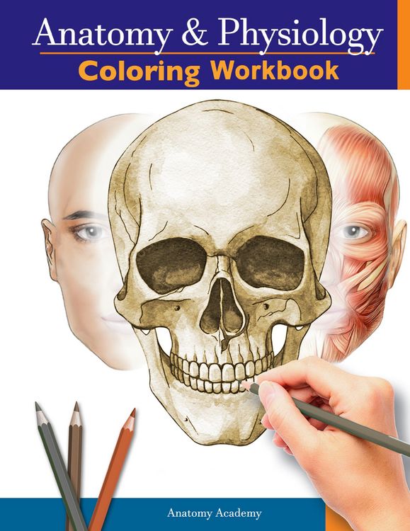 Produktbild: Anatomy and Physiology Coloring Workbook