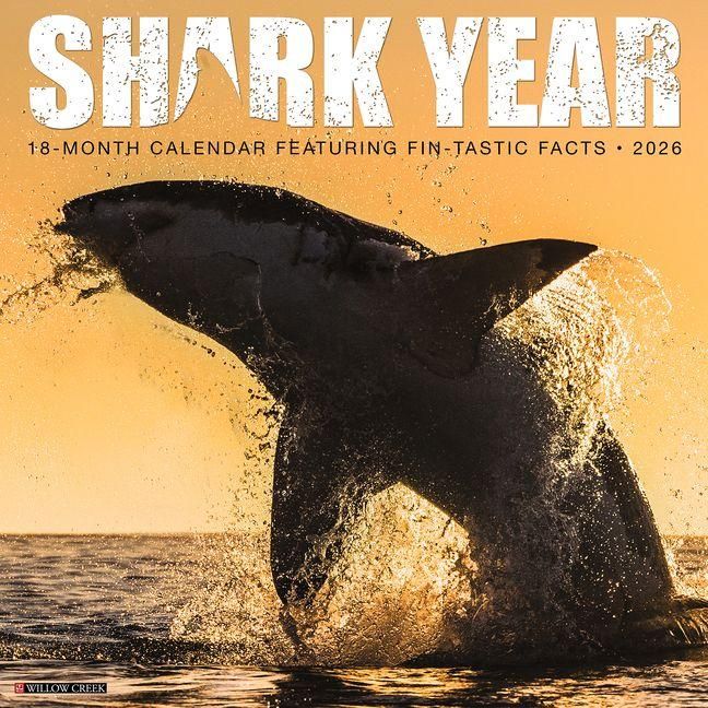 Produktbild: Shark Year 2026 Wall Calendar