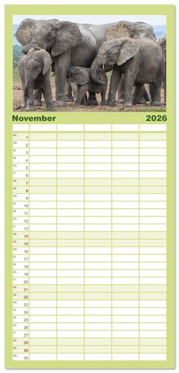 Produktbild: Familienplaner 2026 - Elefanten Begegnungen im &ouml;stlichen und s&uuml;dlichen Afrika mit 5 Spalten (Wandkalender, 21 x 45 cm) CALVENDO