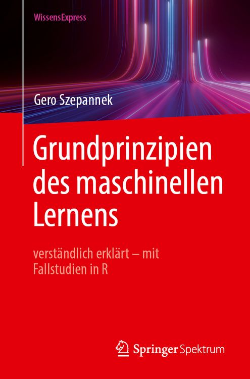 Produktbild: Grundprinzipien des maschinellen Lernens