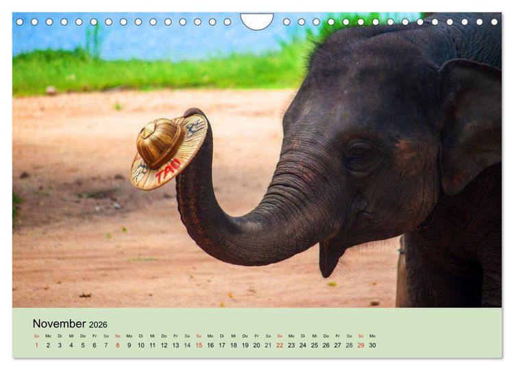 Produktbild: Elefanten. Badespa&szlig; am Strand (Wandkalender 2026 DIN A4 quer), CALVENDO Monatskalender
