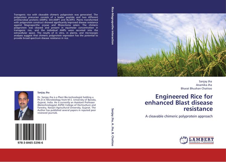 Produktbild: Engineered Rice for enhanced Blast disease resistance