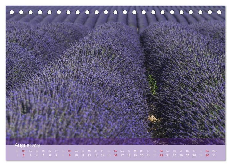 Produktbild: Die Farbe des Lavendels (Tischkalender 2026 DIN A5 quer), CALVENDO Monatskalender