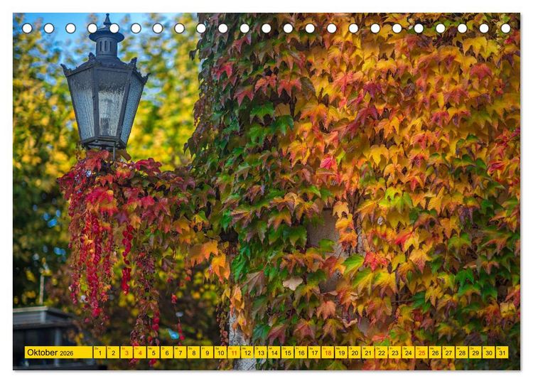 Produktbild: Immenstaad am sch&ouml;nen Bodensee (Tischkalender 2026 DIN A5 quer), CALVENDO Monatskalender