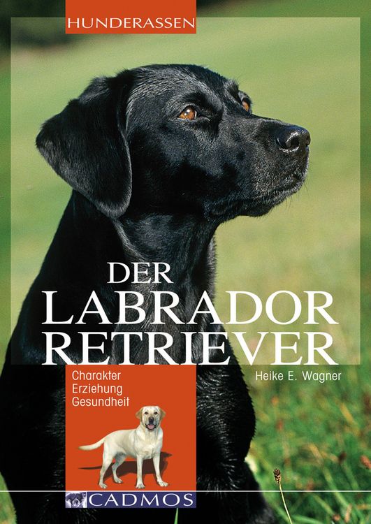 Produktbild: Labrador Retriever