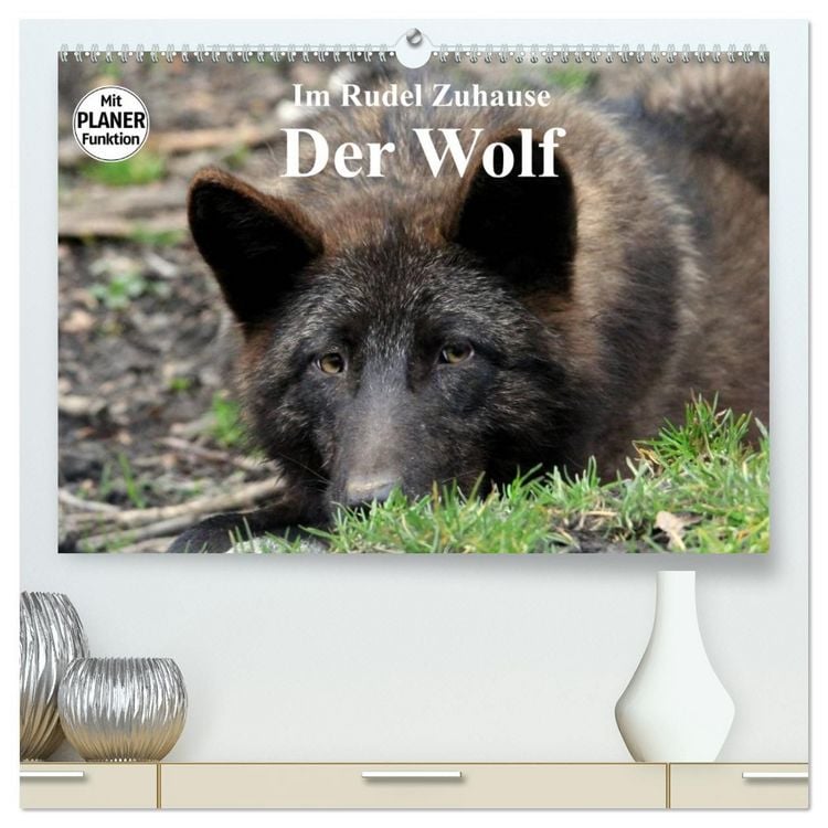 Produktbild: Im Rudel Zuhause - Der Wolf (hochwertiger Premium Wandkalender 2027 DIN A2 quer), Kunstdruck in Hochglanz
