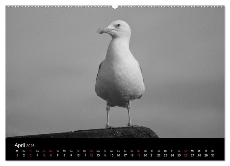 Produktbild: Willkommen in Cuxhaven (Wandkalender 2026 DIN A2 quer), CALVENDO Monatskalender
