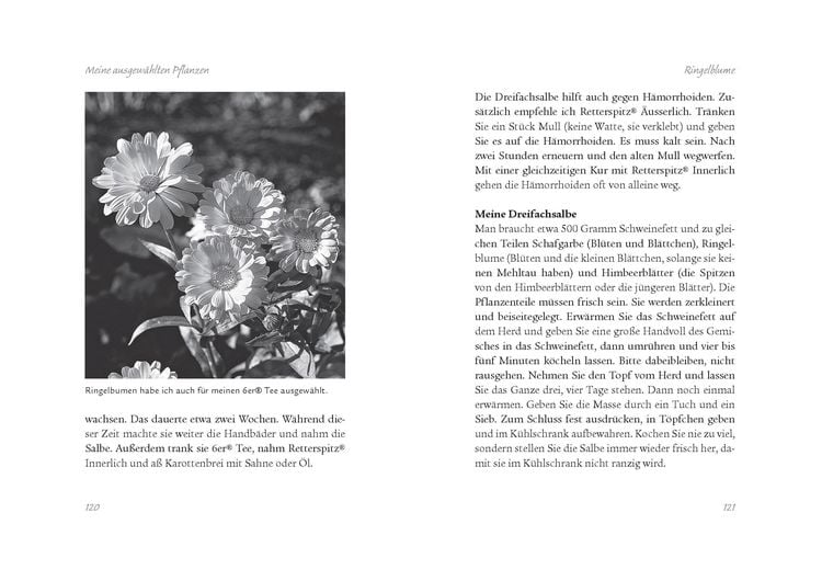 Produktbild: Die Kr&auml;uterapotheke Gottes