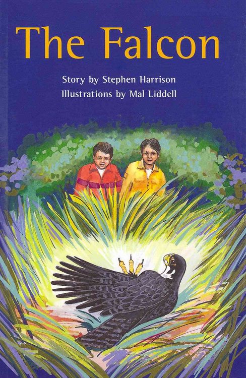 Produktbild: Rigby PM Collection Emerald: Student Reader 6pk (Level 25) Falcon, the