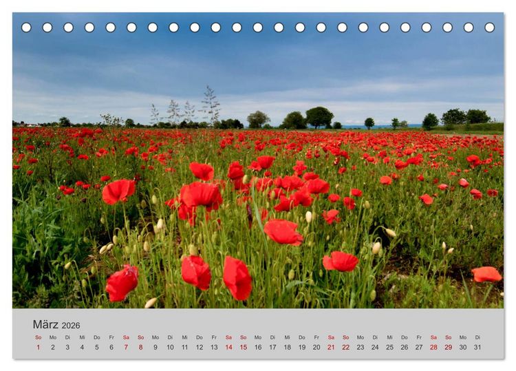 Produktbild: Die Sch&ouml;nheit der Bretagne (Tischkalender 2026 DIN A5 quer), CALVENDO Monatskalender