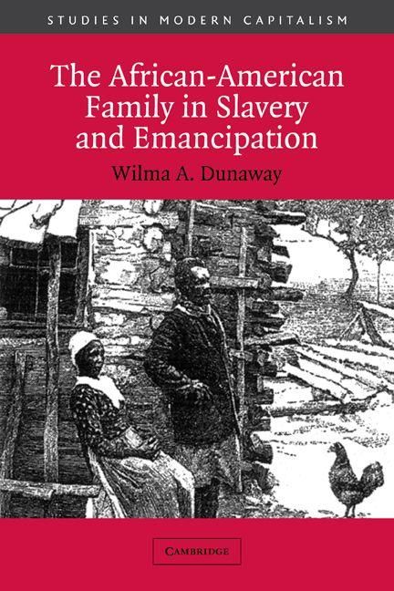 Produktbild: The African-American Family in Slavery and Emancipation