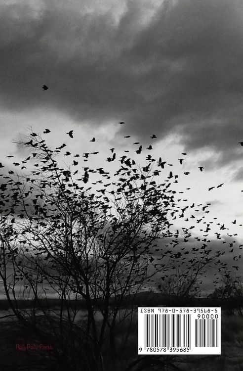 Produktbild: Flying Away