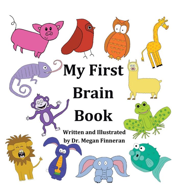 Produktbild: My First Brain Book
