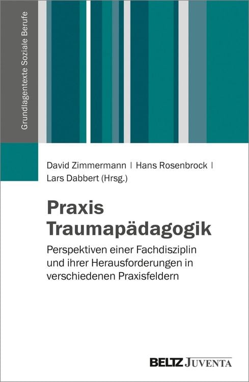 Bild vom Artikel Praxis Traumapädagogik vom Autor David Zimmermann