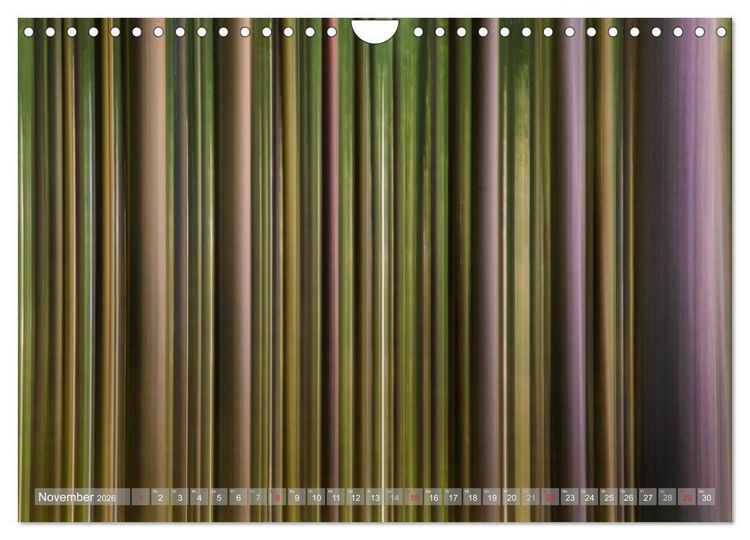 Produktbild: Atelier Wald - gemalt mit Licht (Wandkalender 2026 DIN A4 quer), CALVENDO Monatskalender