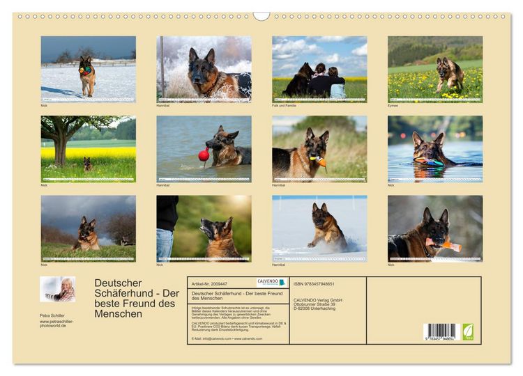 Produktbild: Deutscher Sch&auml;ferhund - Der beste Freund des Menschen (Wandkalender 2026 DIN A2 quer), CALVENDO Monatskalender