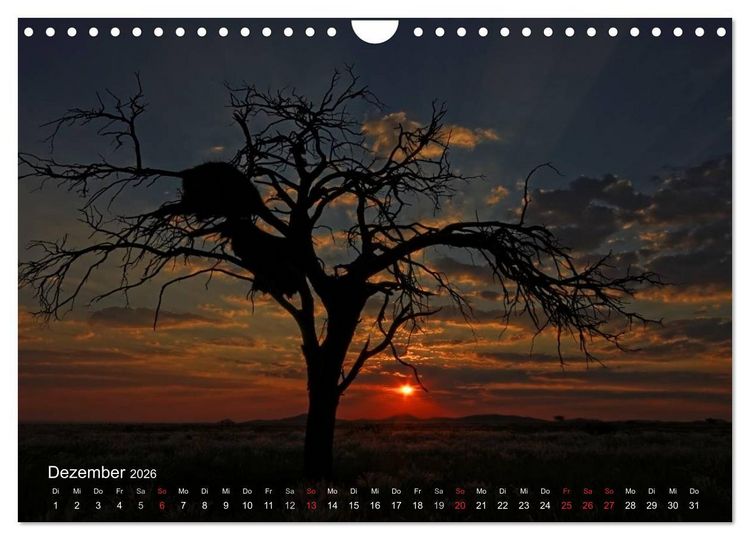 Produktbild: Afrikanische B&auml;ume (Wandkalender 2026 DIN A4 quer), CALVENDO Monatskalender