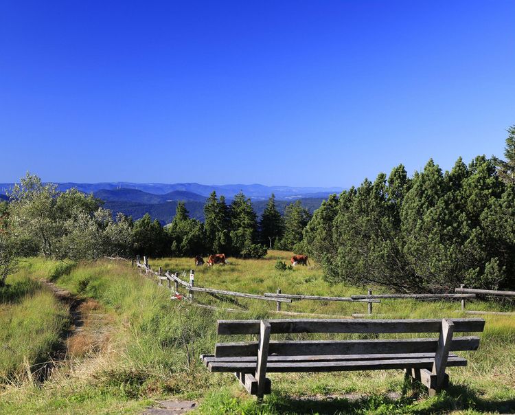 Produktbild: Wanderparadies Schwarzwald