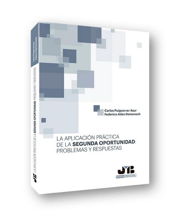 Produktbild: La aplicaci&oacute;n pr&aacute;ctica de la segunda oportunidad : problemas y respuestas